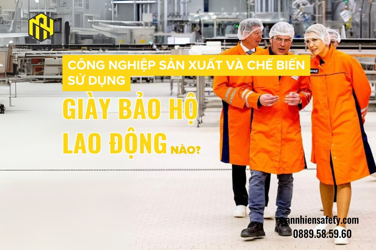 Công nghiệp sản xuất và chế biến sử dụng giày bảo hộ lao động nào